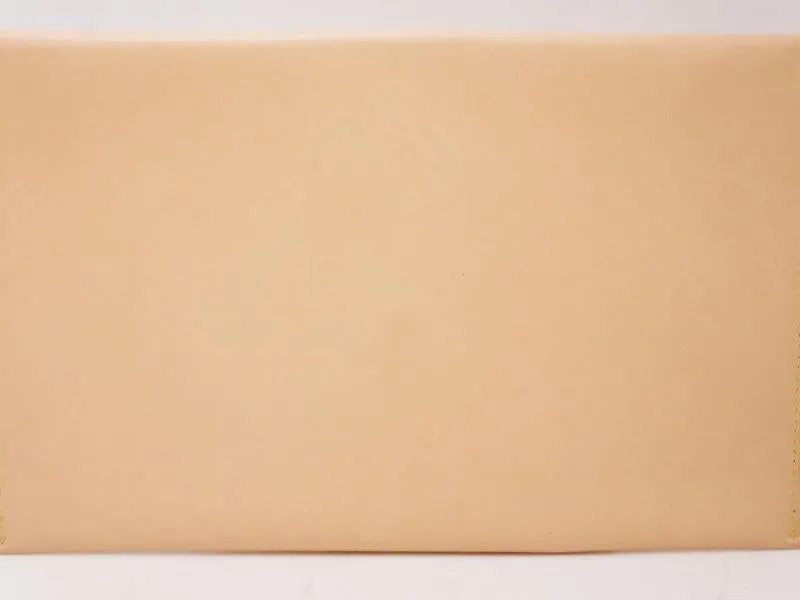 Authentic Pre-owned Louis Vuitton Ltd Nomade Vachetta Leather Envelope Travel Clutch Case 210020