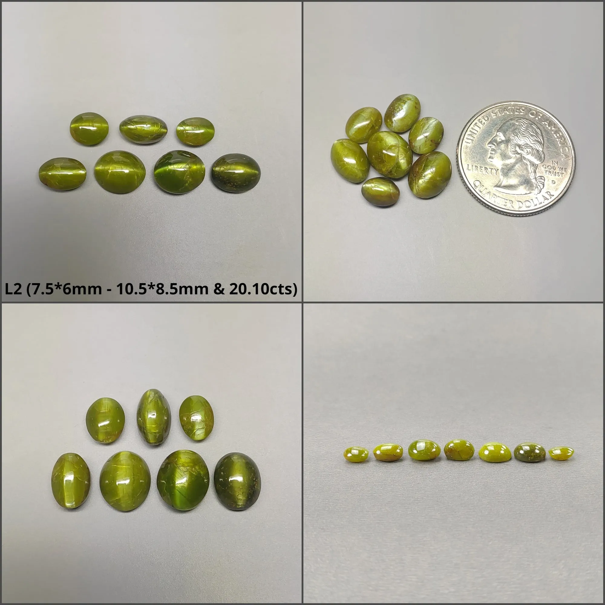 CHRYSOBERYL CAT'S EYE Gemstone Cabochon : Natural Untreated Unheated Cat's Eye Oval Shape 6pcs 7pcs & 9pcs