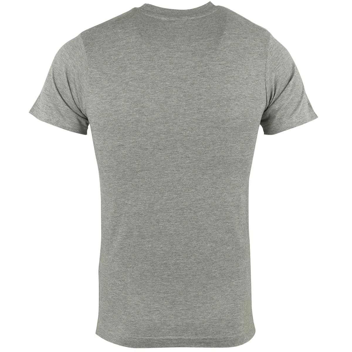 Cotton T-Shirt Ash Grey