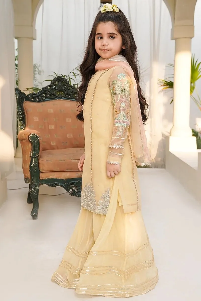 HEM Girls Pakistani Wedding Wear HEM08