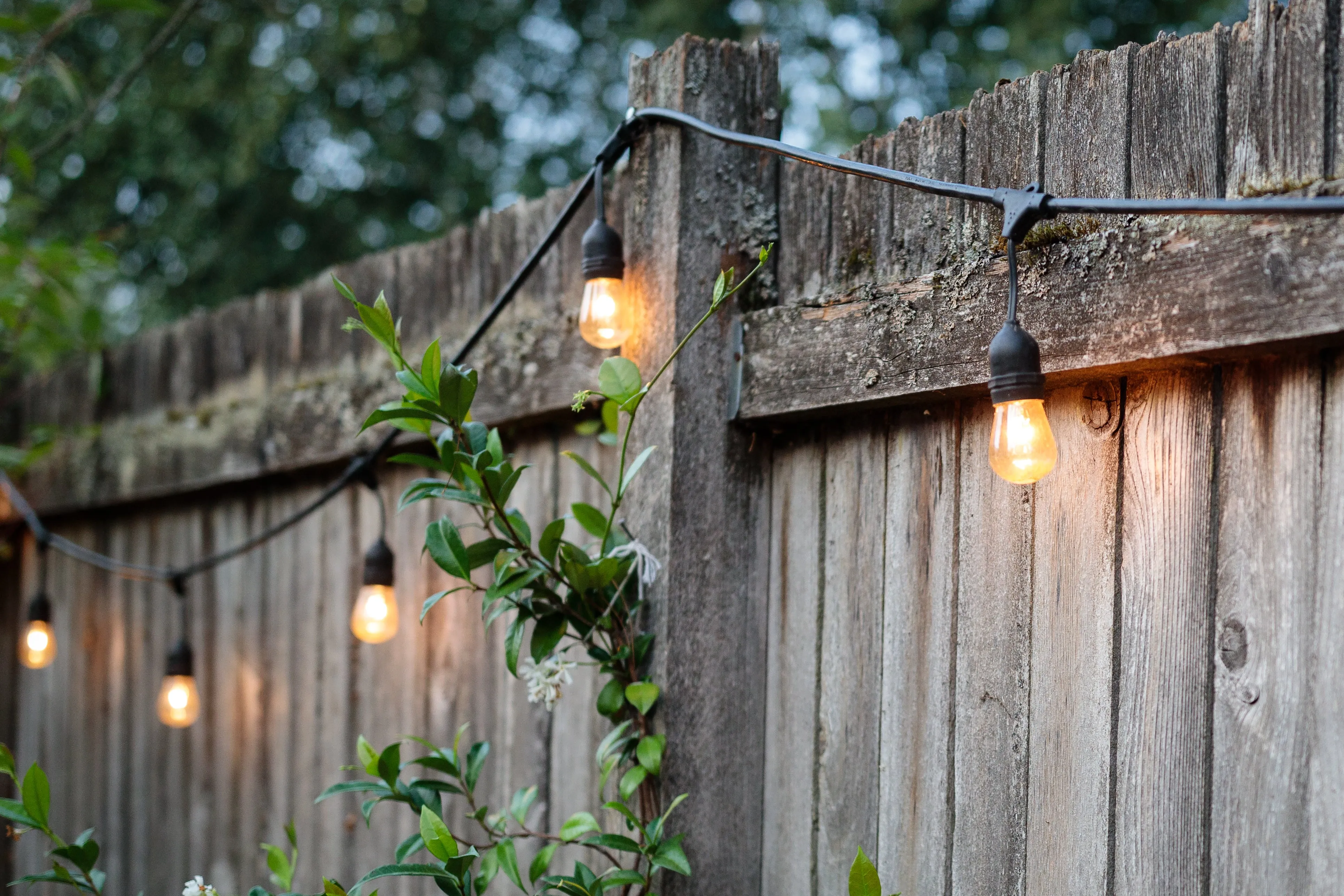 Outdoor Hanging String Lights