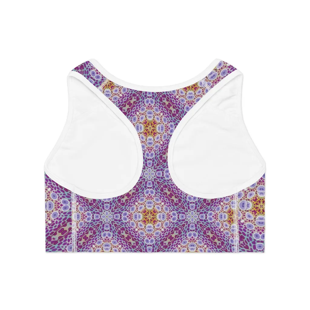 Paper Nautilus 2 Sports Bra