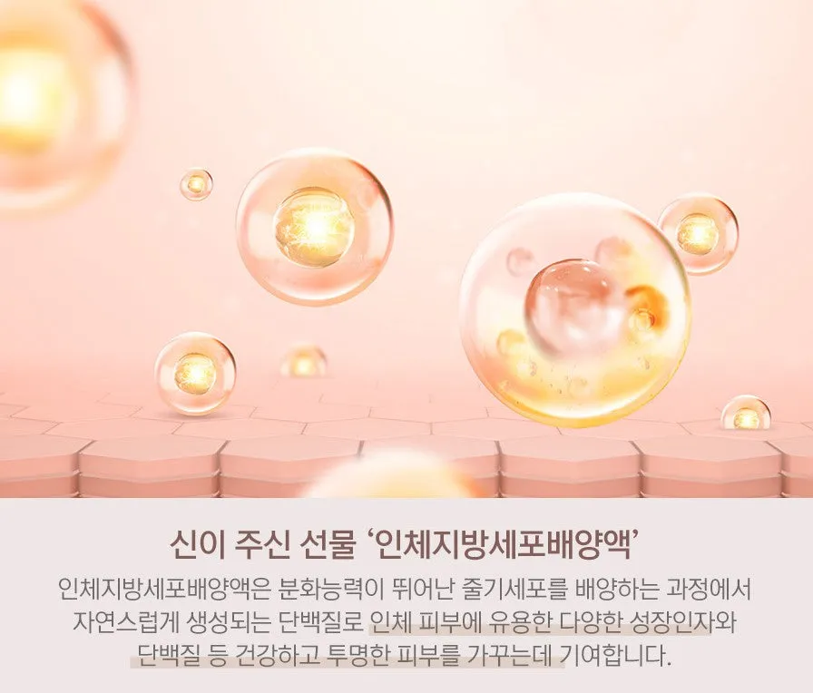 Reminisce Han-gyeol Creams K-beauty High Quality Long Lasting Moisture Sunscreen