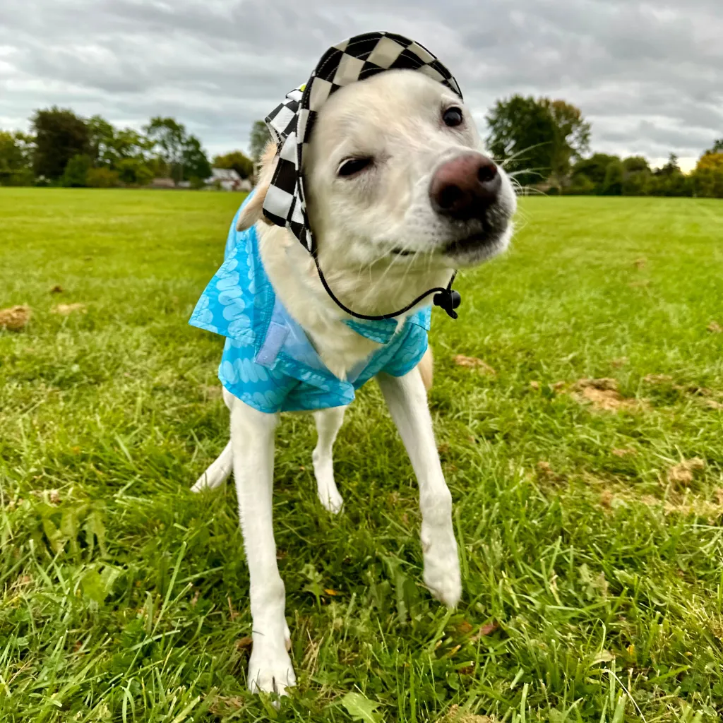 Slurpee® Pet Checkered Bucket Hat